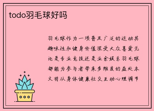 todo羽毛球好吗